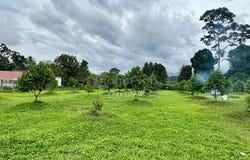 Banting, Selangor 42700