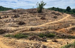Batang Kali, Selangor 0