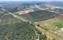 Kulai, Johor 81000