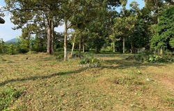 Semenyih, Selangor 43500