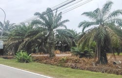 Jalan Changkat Jering, Manjung, Perak 34900