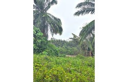 Mukim Bandar, Kuala Langat, Selangor 42500