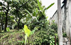 Jalan Ukay, Ampang, Selangor 68000