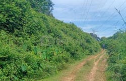 Batang Padang, Slim River, Perak 35000