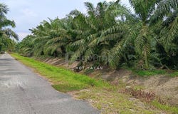 Jalan Putera, Muar, Johor