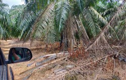 Port Dickson, Negeri Sembilan