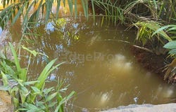 Sungai Petani, Kedah 8000
