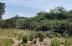 Balok, Pahang 26080