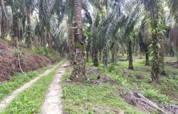 Parit, Perak 32800