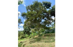 Karak, Pahang 28600