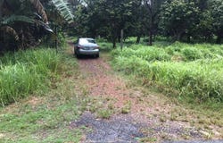 Pontian, Johor 82300