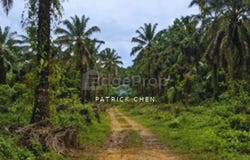 Kerteh, Terengganu 24300