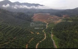 Kuala Kangsar, Perak 33000