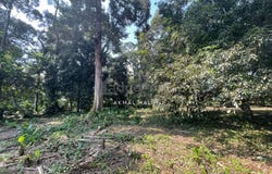 Jalan Tamu, Batang Kali, Selangor 44300