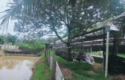 Hulu Selangor, Selangor 44000