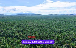 Sungai Petani, Kedah 8000