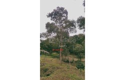 Bentong, Pahang 28700