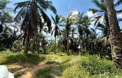 Sedenak - Bukit Batu, Kulai, Johor 81000