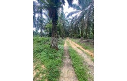 Senai, Johor 81400