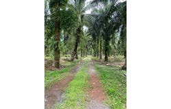 Pontian, Johor 82200