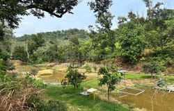 Hulu Selangor, Selangor 44000