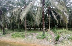 Banting, Selangor 42700