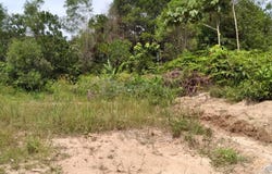 Banting, Selangor 42700
