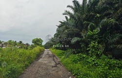 Ulu Tiram, Johor 81800