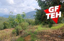 Ipoh, Perak 31400