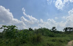 Senai, Johor 81400