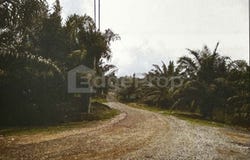 Sega, Pahang 27600