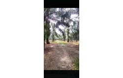 Banting, Selangor 42700