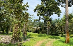 Kulai, Johor 81000