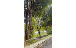 Persiaran Mahogany, Kota Damansara, Selangor 47810