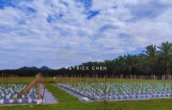 Taiping, Perak