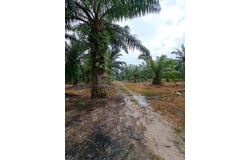 Banting, Selangor 42700