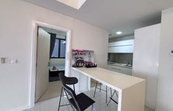 Petaling Jaya, Selangor 47300