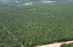 Bedong, Kedah 8100