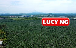 Gurun, Kedah 8300