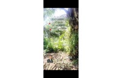 Banting, Selangor 42700