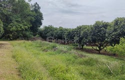 Rawang, Selangor 47000