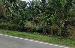 Pekan Nanas, Johor 81500