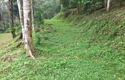 Hulu Langat, Selangor 43100