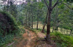 Semenyih, Selangor