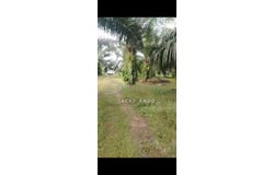 Sungai Pelek, Sepang, Selangor 43950