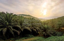 Gua Musang, Kelantan 18300
