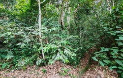 Bentong, Pahang 28750