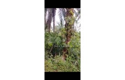 Banting, Selangor 42700