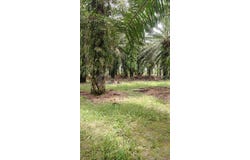 Jenjarom, Selangor 42600