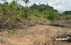 Hilir Perak, Perak